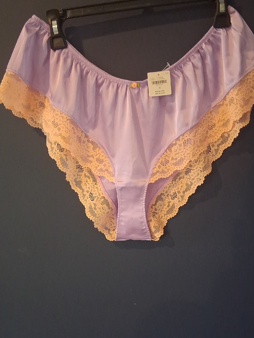 Nwt Anthropologie  LyreBird Silky Lace-Trim Panties